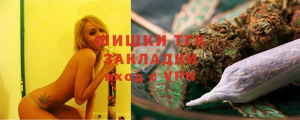 дмт Алзамай