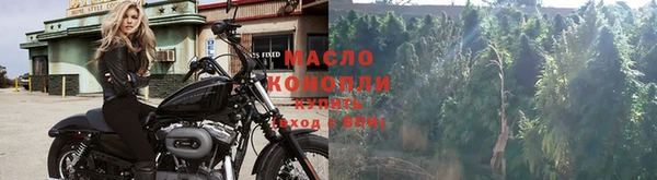 дмт Алзамай