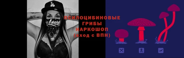 дурь Алексин