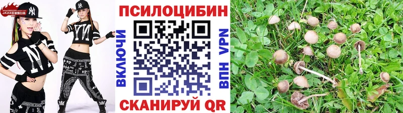 Псилоцибиновые грибы Psilocybine cubensis Навашино